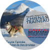 Cantal Mushing Chien de traîneau dans le cantal